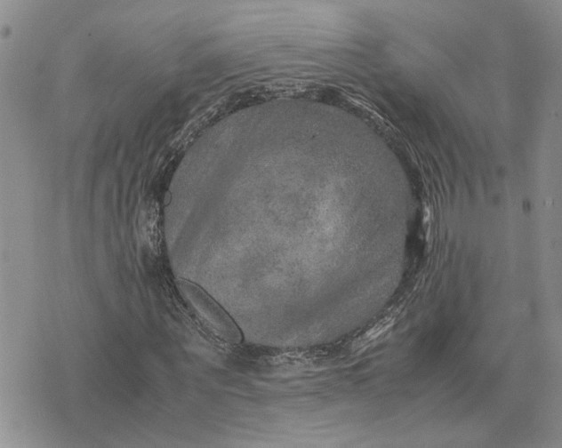 X0000075380867200609251149