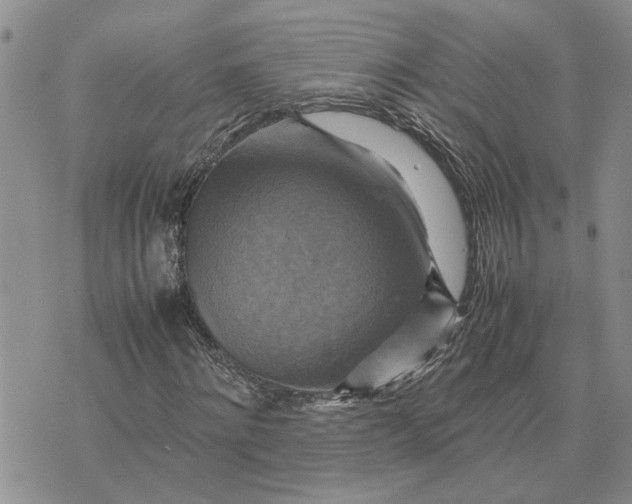 X0000075380868200609251149