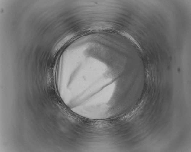 X0000075380874200609251149