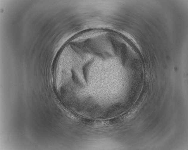 X0000075380887200609251149