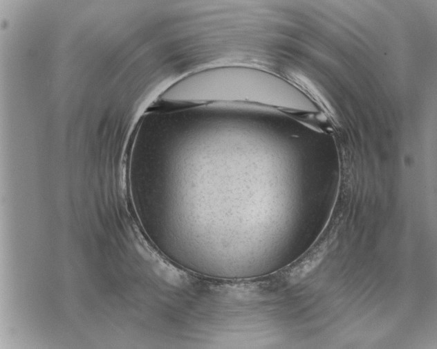 X0000075380900200609251149