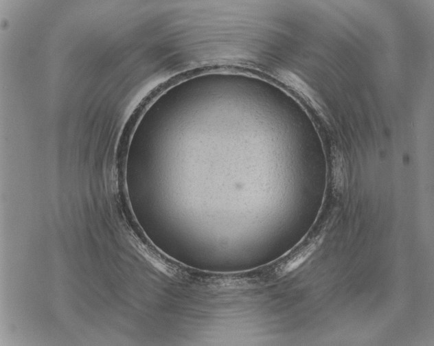 X0000075380924200609251148