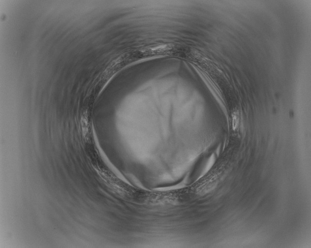 X0000075381011200609251146