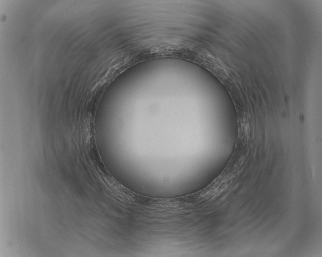 X0000075381012200609251146