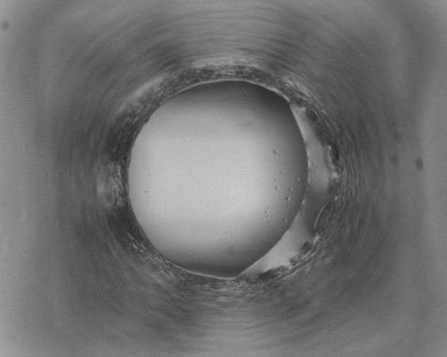 X0000075381062200609251146
