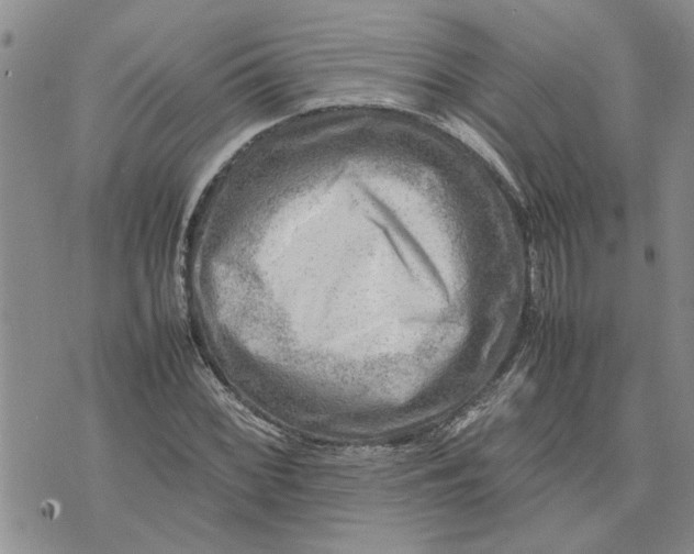 X0000075381068200609251146