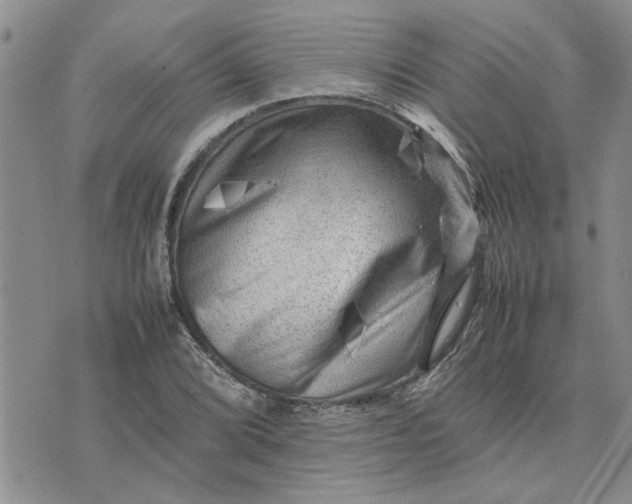 X0000075381072200609251146