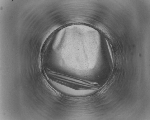X0000075381076200609251146