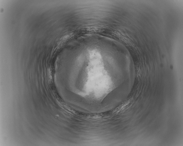 X0000075381106200609251145