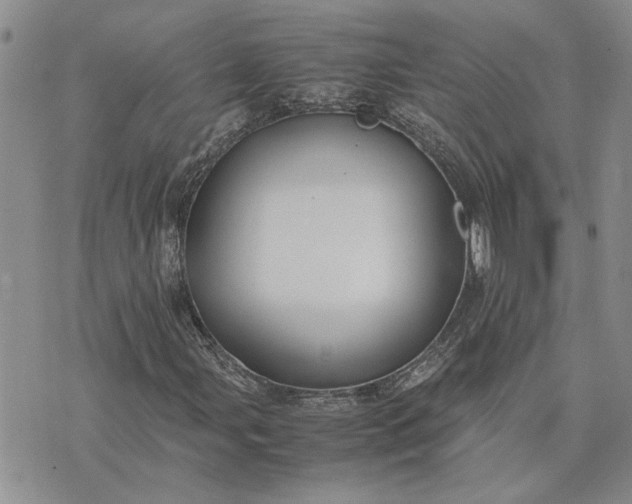 X0000075381107200609251145