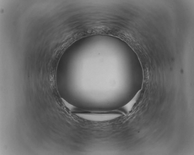 X0000075381109200609251145