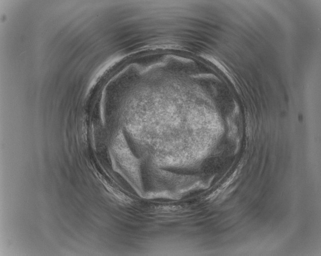 X0000075381115200609251145