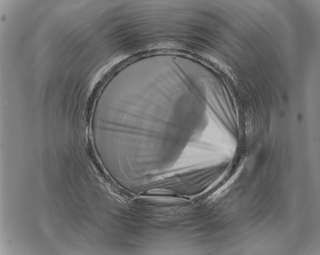 X0000075381117200609251145