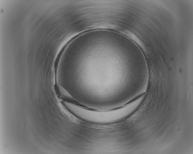 X0000075381132200609251145