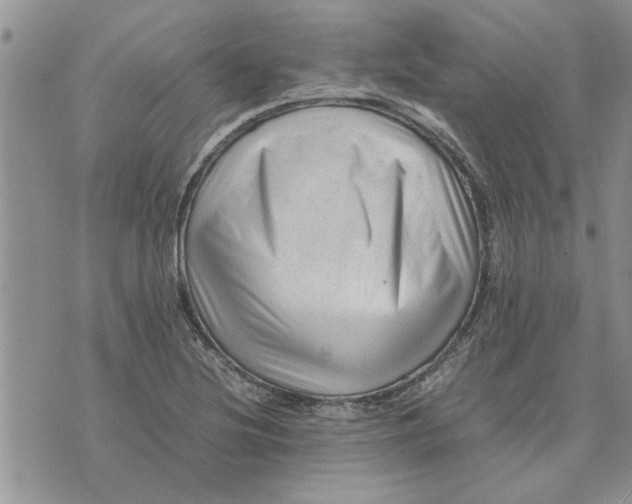X0000075381220200609251144