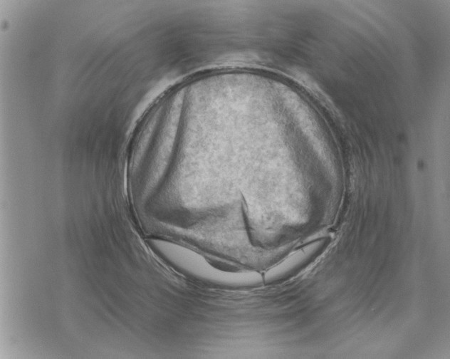 X0000075381224200609251144
