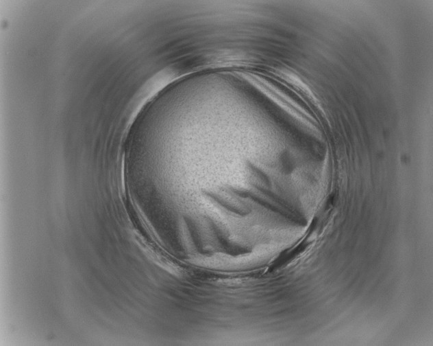 X0000075381227200609251144