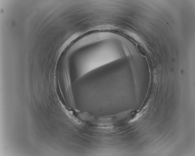 X0000075381229200609251144