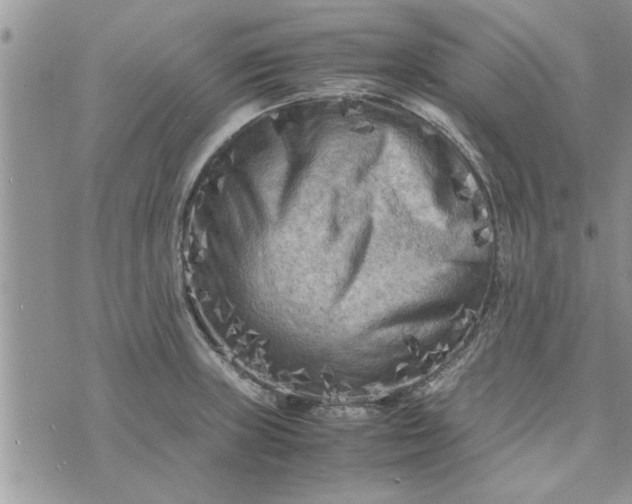 X0000075381235200609251144