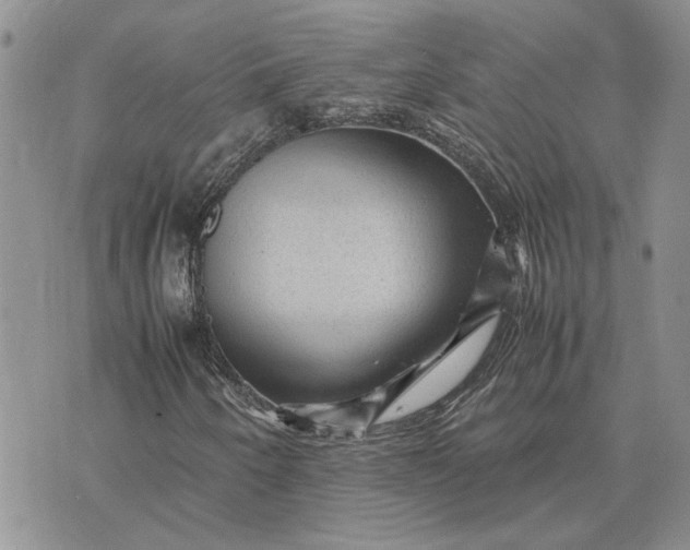 X0000075381250200609251143