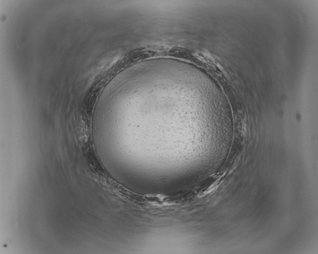 X0000075381253200609251143