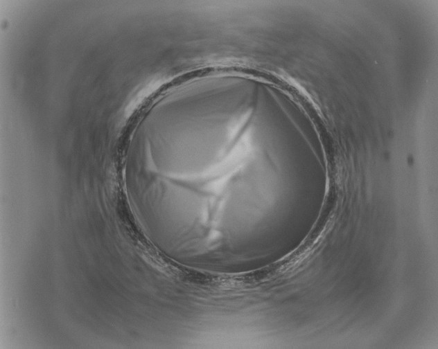 X0000075381263200609251143