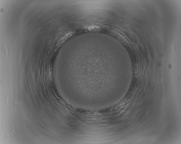 X0000075381298200609251142