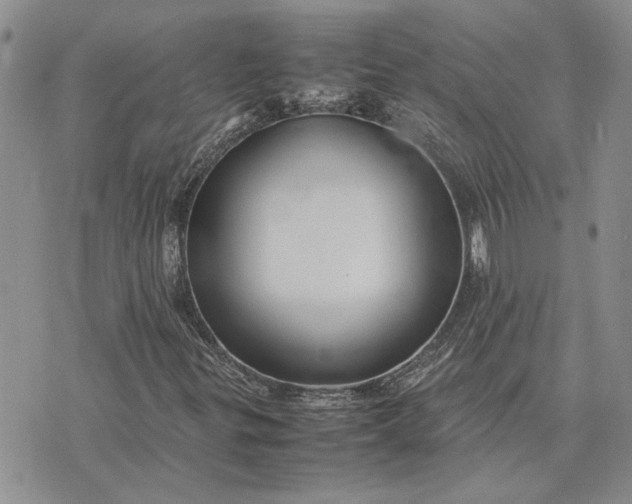 X0000075381299200609251142