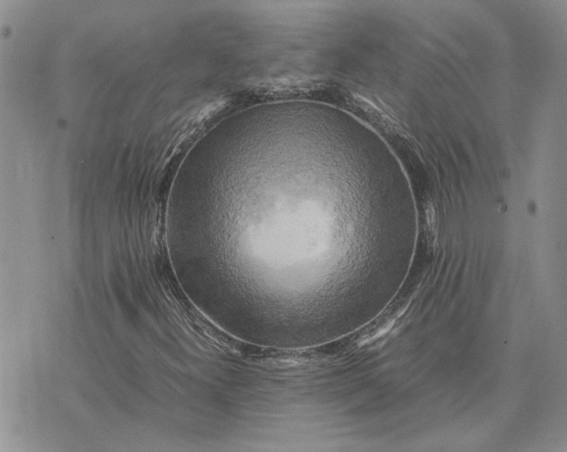 X0000075381300200609251142
