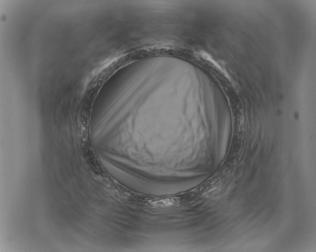 X0000075381303200609251142