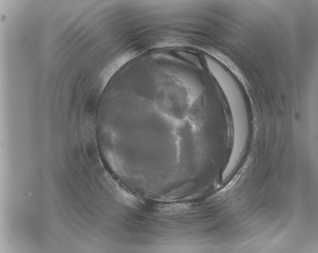 X0000075381337200609251142