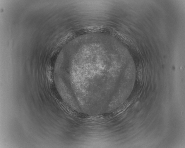 X0000075381346200609251142