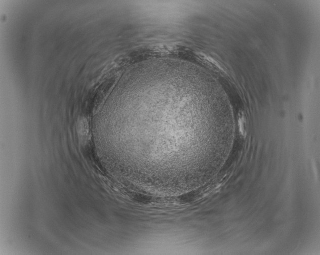 X0000075381347200609251142