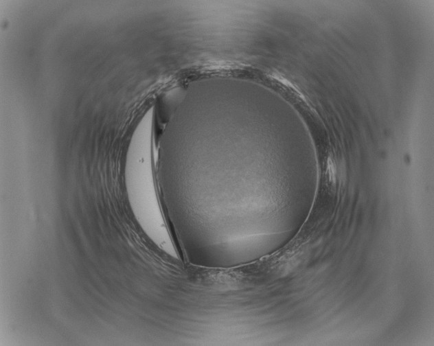 X0000075381348200609251142
