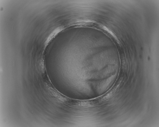 X0000075381362200609251141