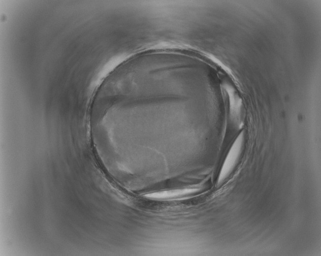 X0000075381367200609251141