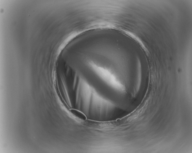 X0000075381383200609251141