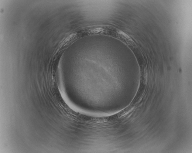 X0000075381394200609251140