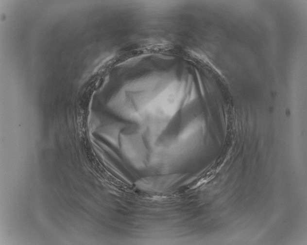 X0000075381399200609251140