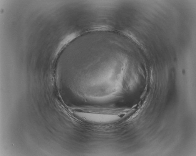 X0000075381405200609251140