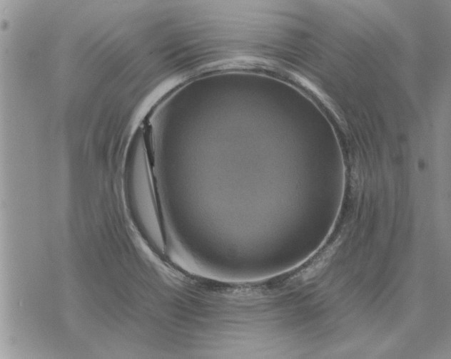 X0000075381418200609251141
