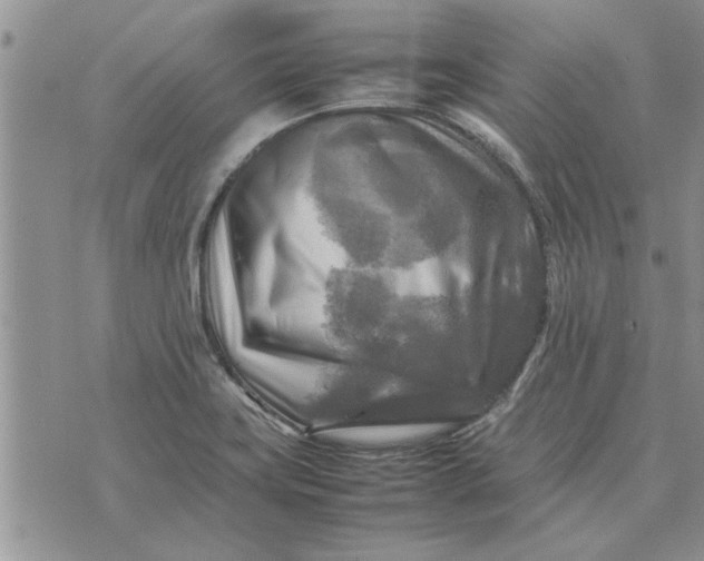X0000075381419200609251141