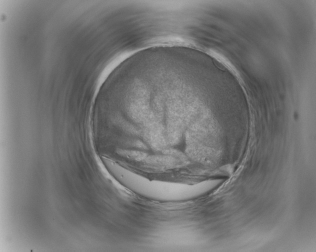 X0000075381440200609251141