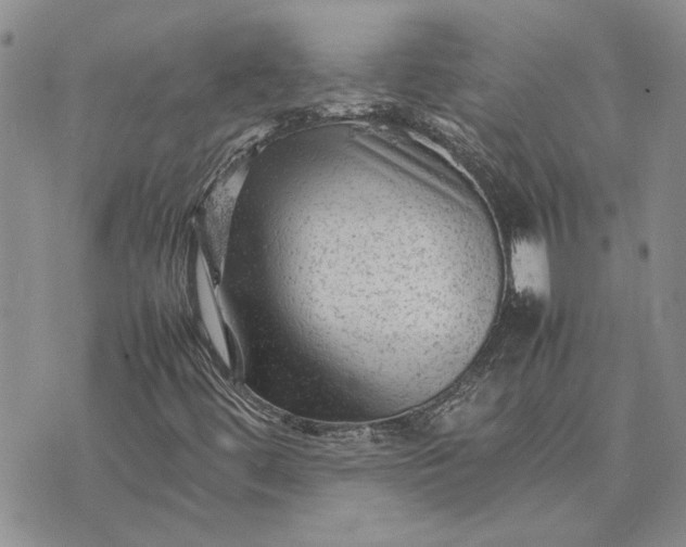 X0000075381444200609251140