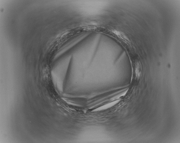 X0000075381445200609251140
