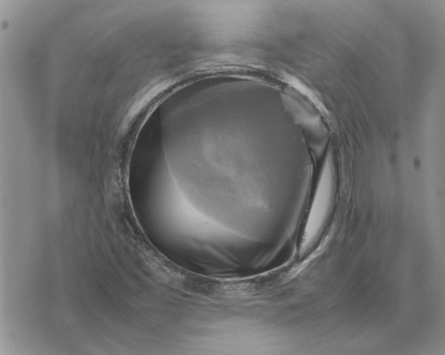 X0000075381453200609251140