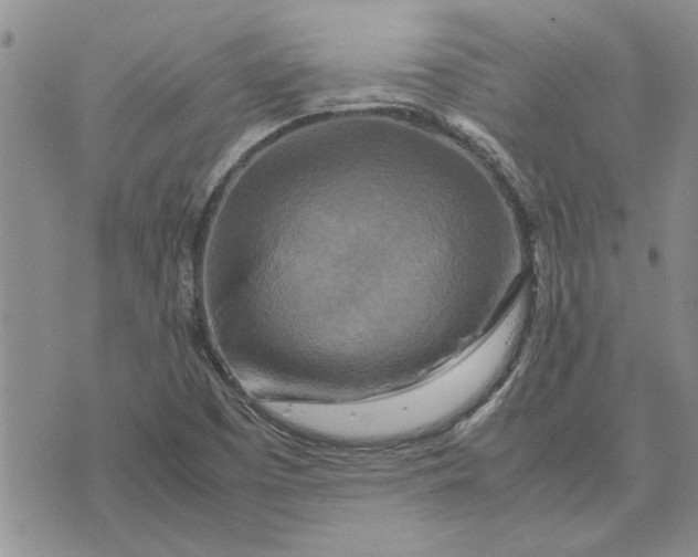 X0000075381457200609251140