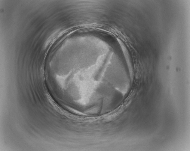 X0000075380002200609291603