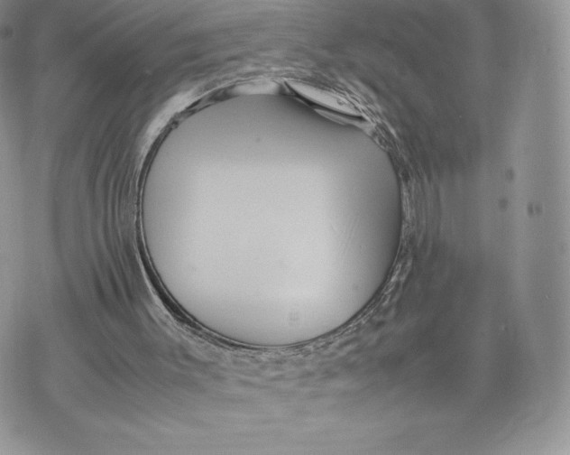 X0000075380003200609291603