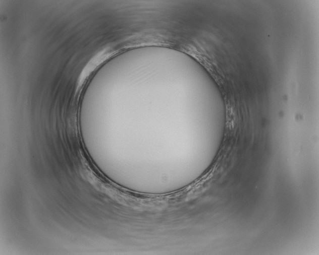 X0000075380004200609291602